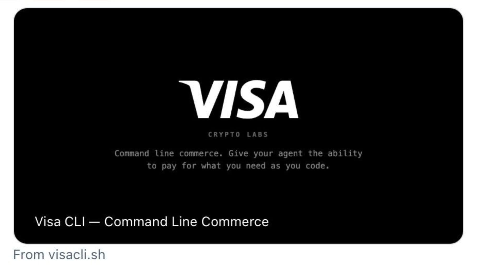 visacli token image