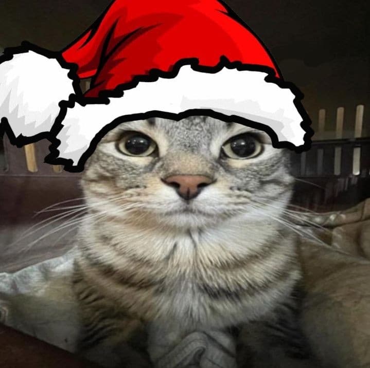 SANTA CAT token image