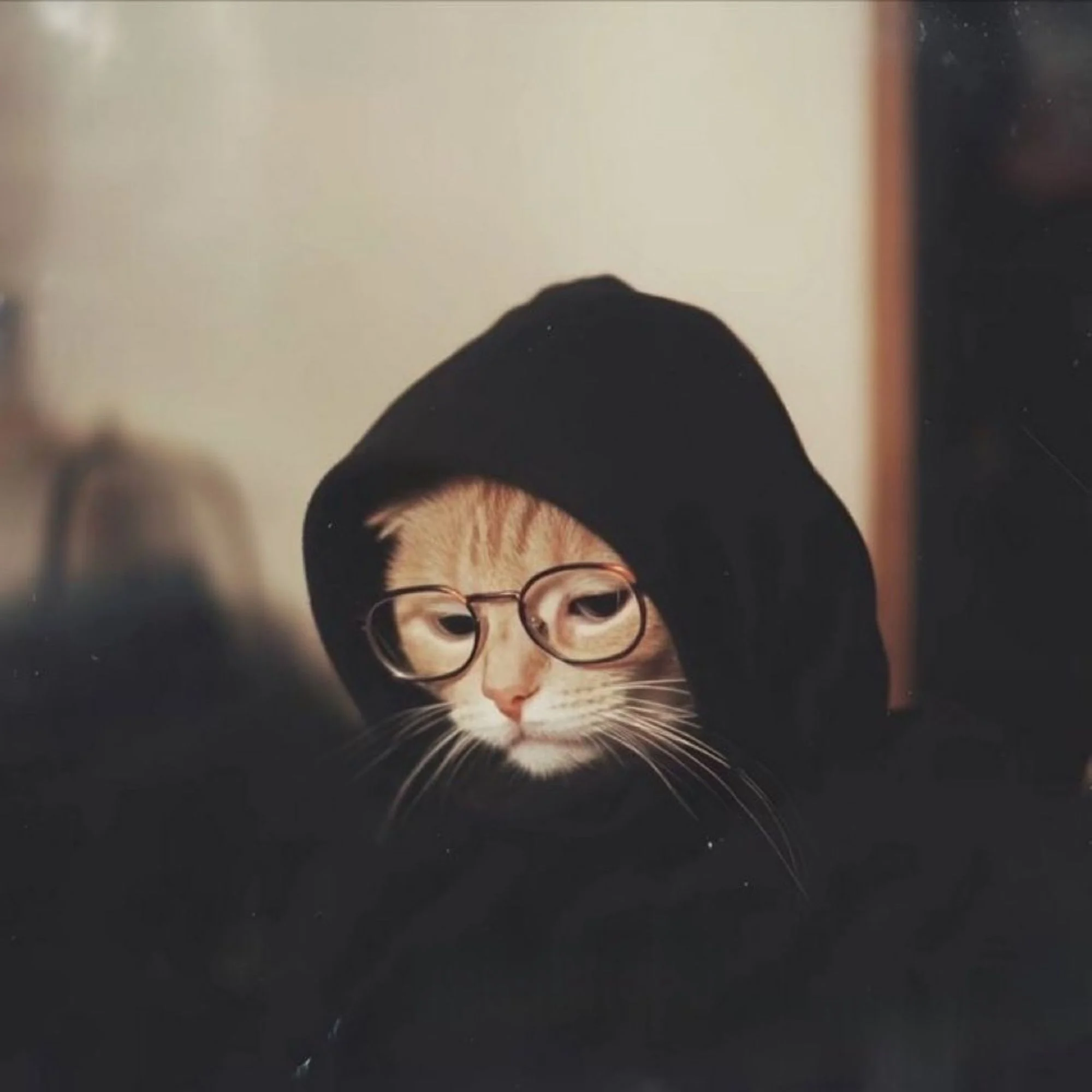 Mc Cata token image