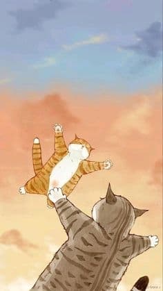 CATS token image