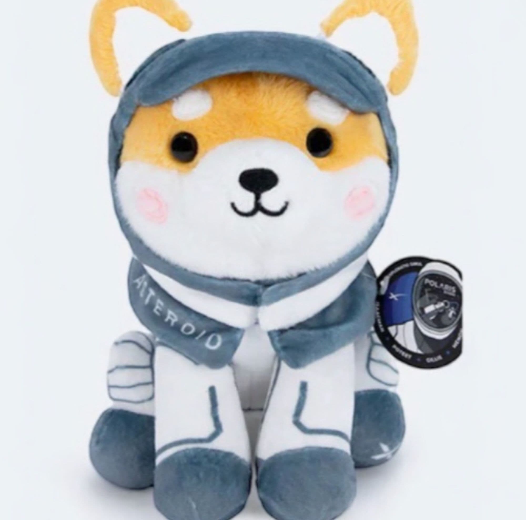 Asteroid On Base token image