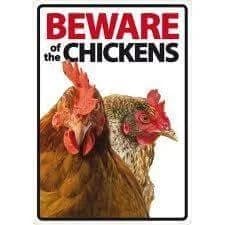 $chickens token image