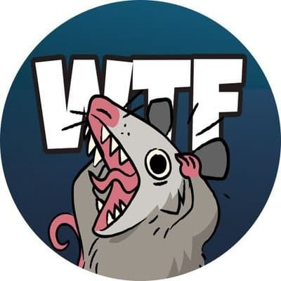 What the Fuck token image