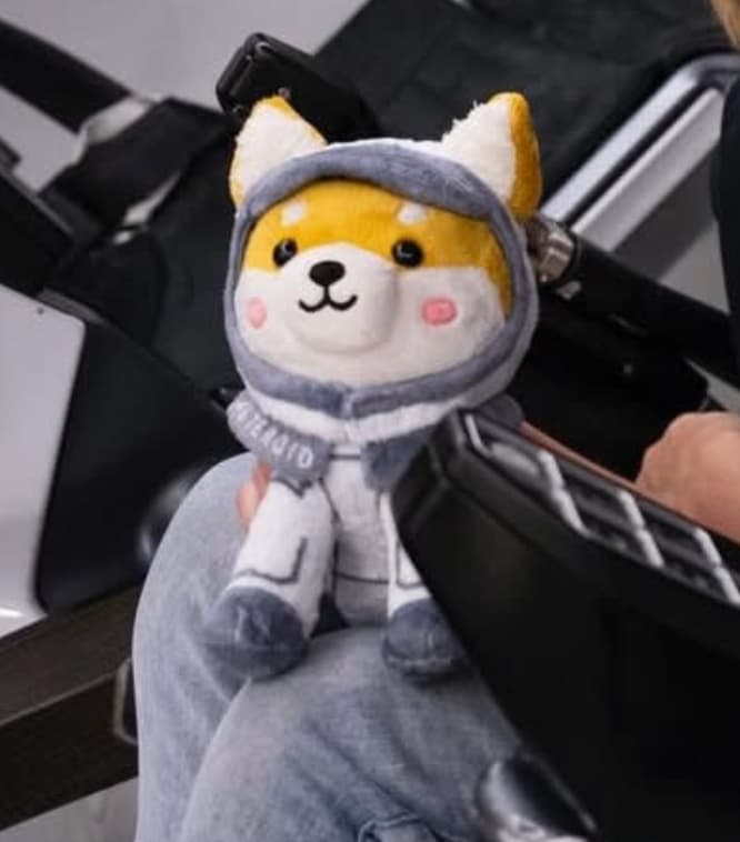 Asteroid token image