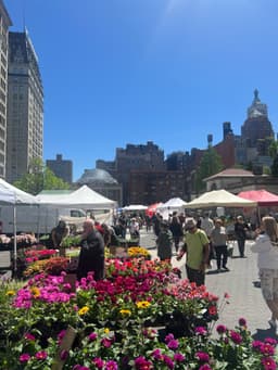 City Sunshine