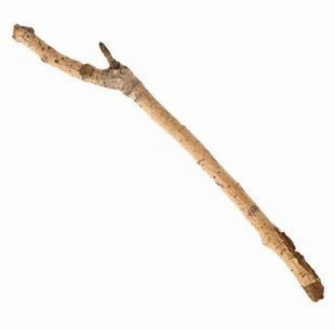 Sticknation token image