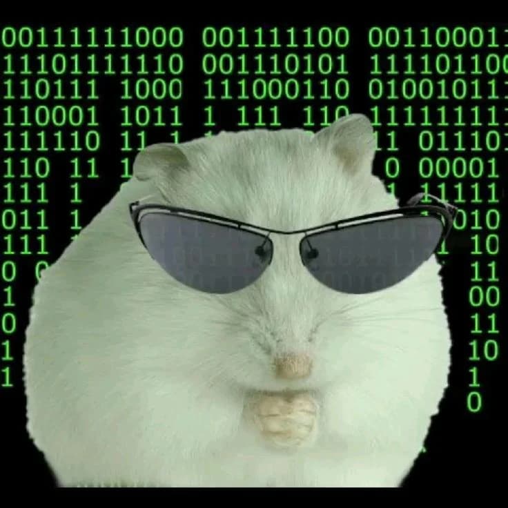 matrixmouese token image
