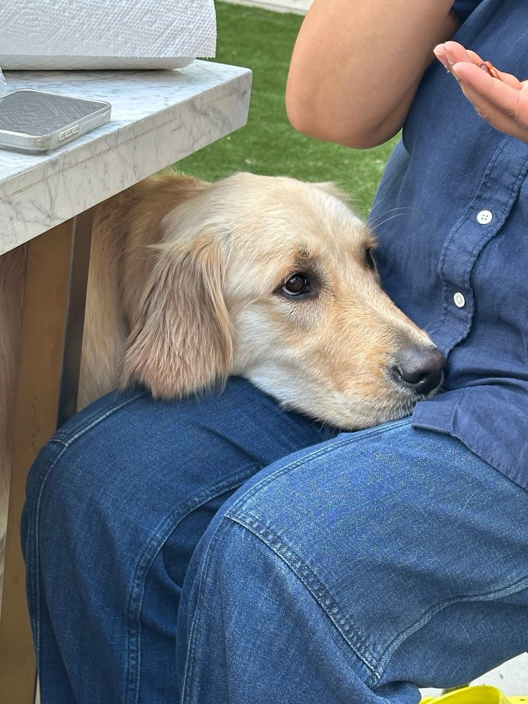 Farcaster Proof of Dog token image