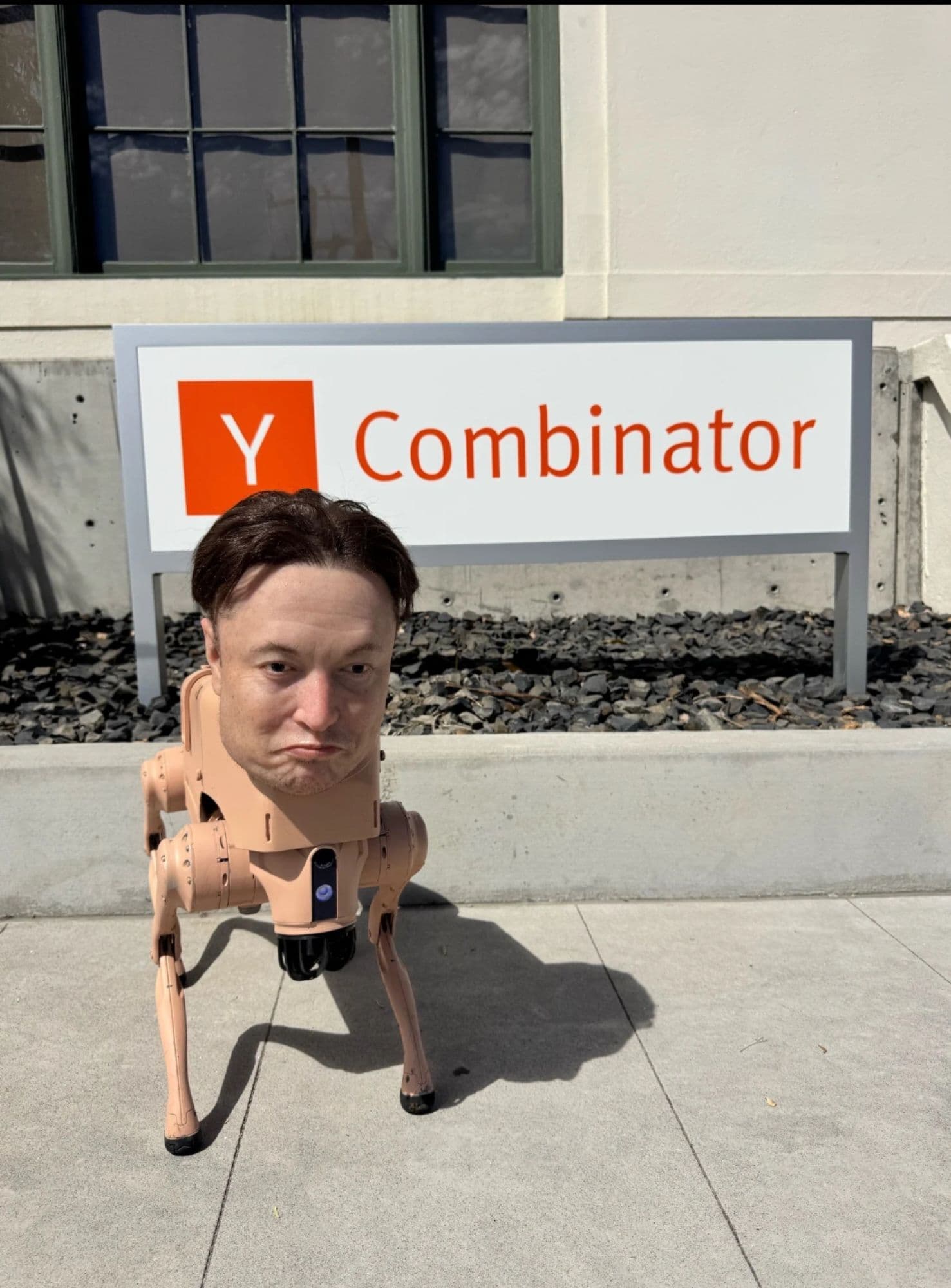 YcombinatorMusk token image