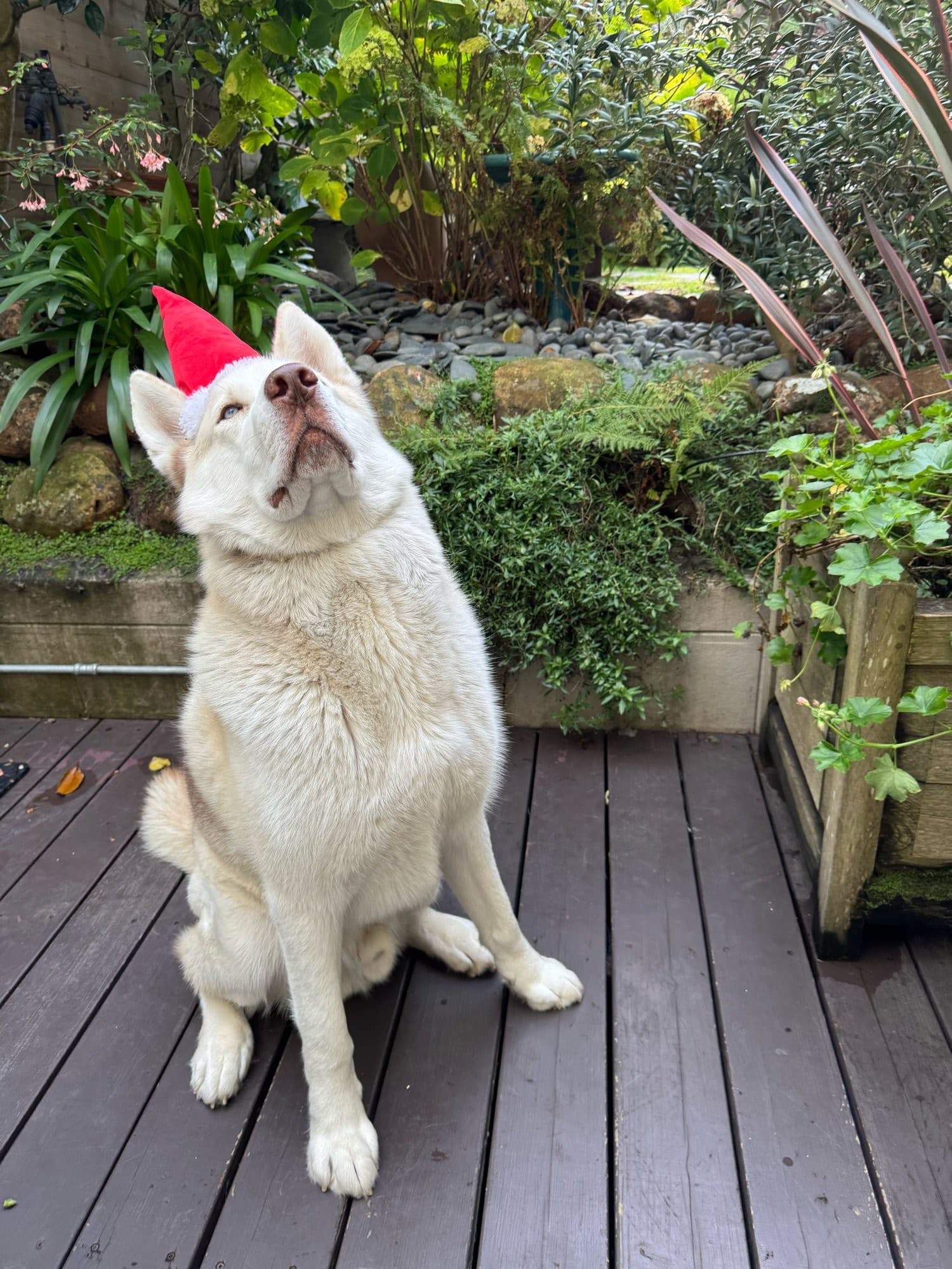 Greedy Based Bot token image