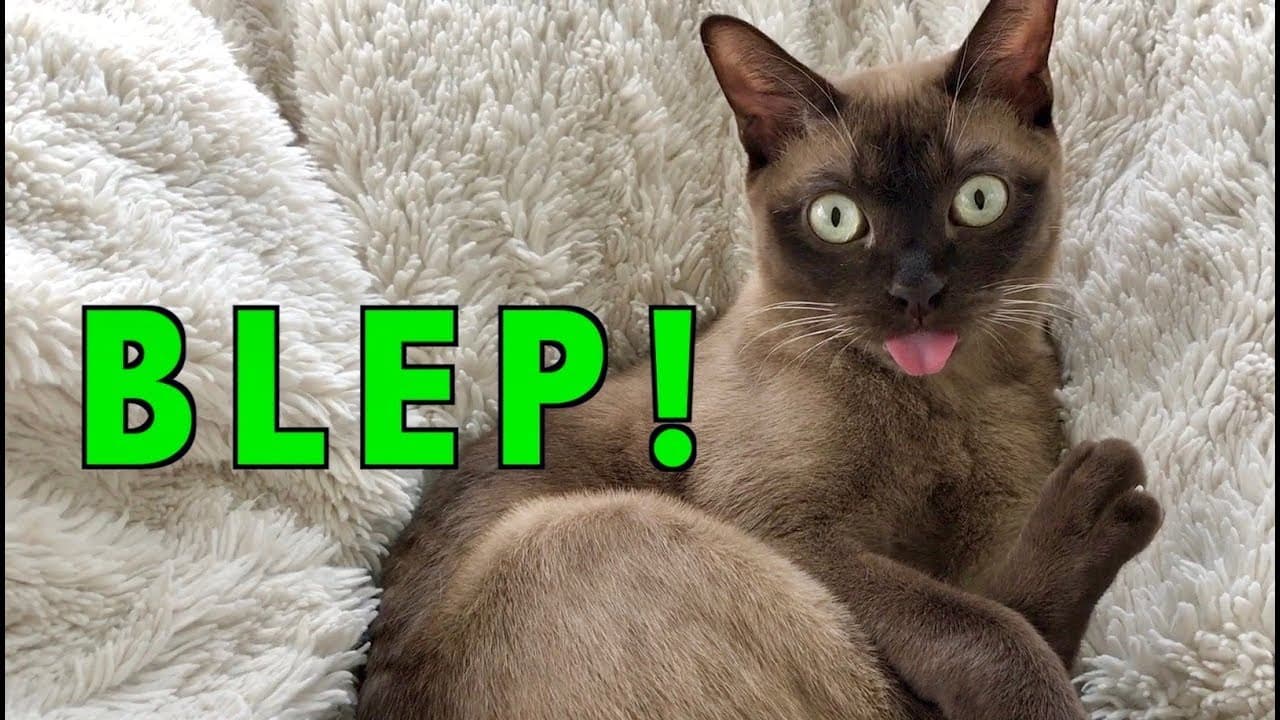 BLEP token image