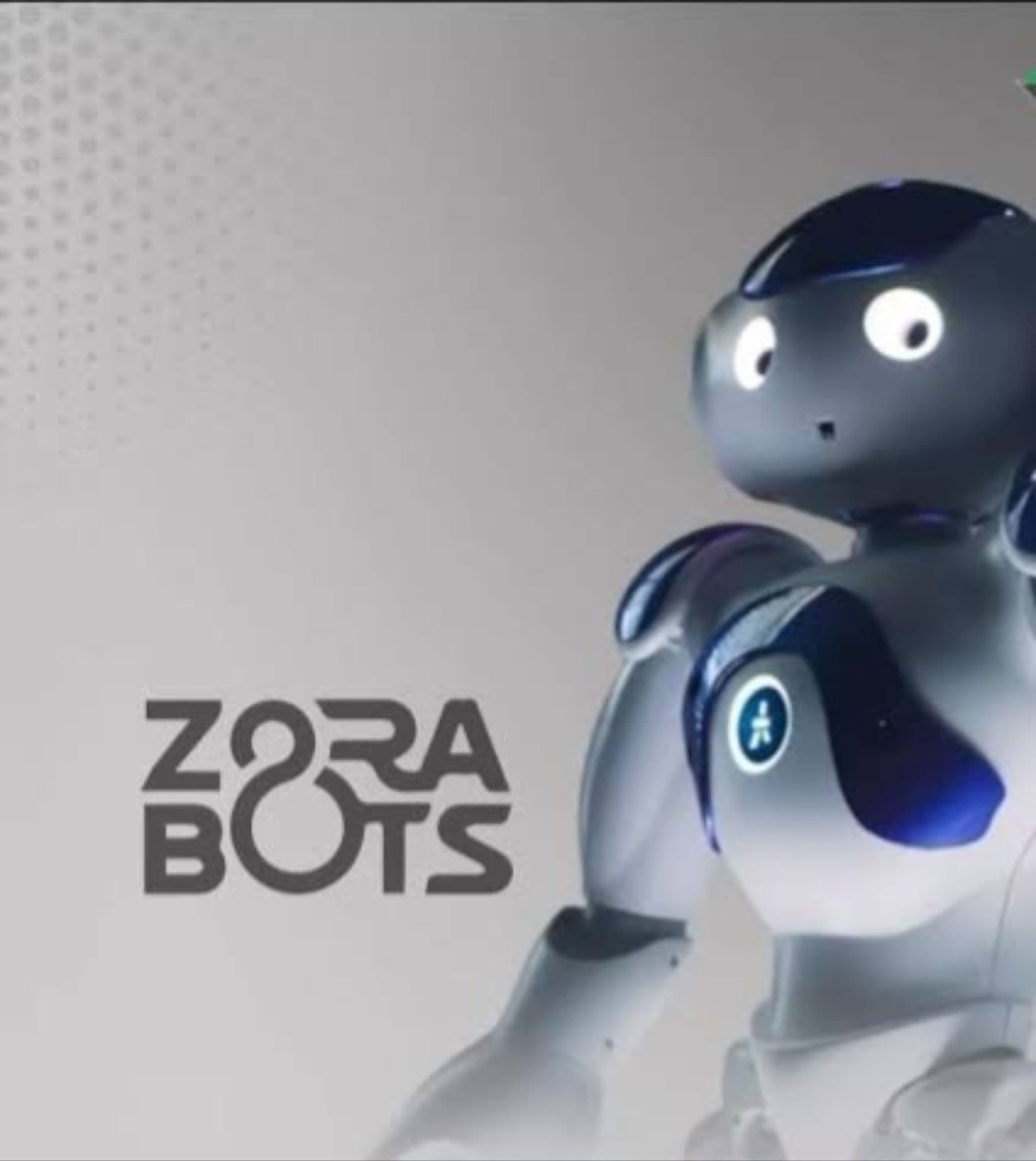 ZORABOTS token image