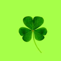 LUCKY token image