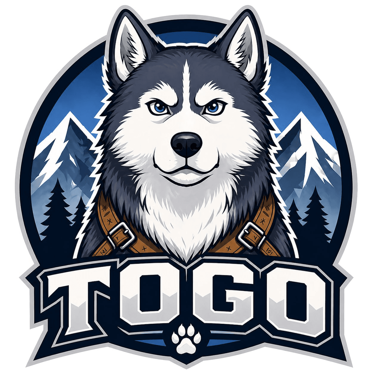 Togo token image