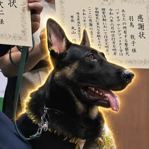 Inspector Ohagi token image