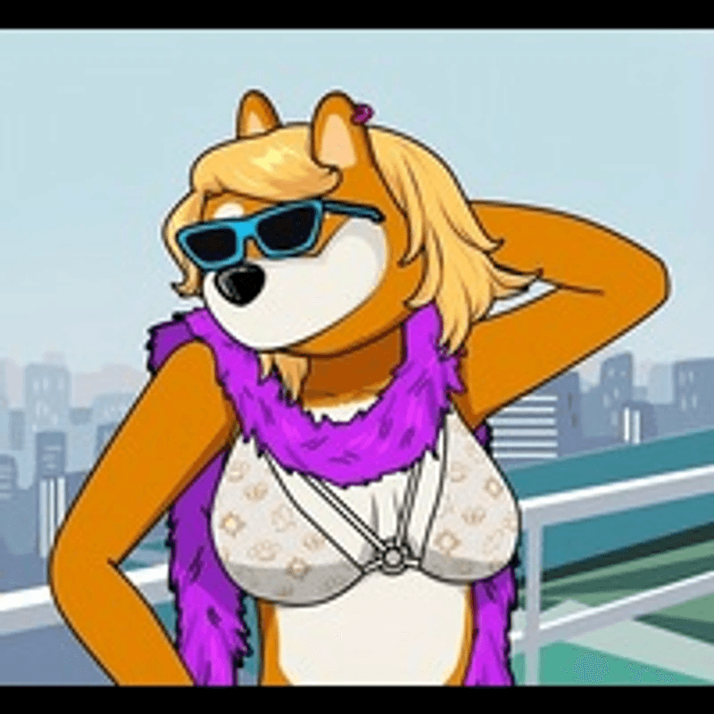 wife of $bonk token image