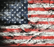 Broken America token image