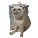 TrashCat token image