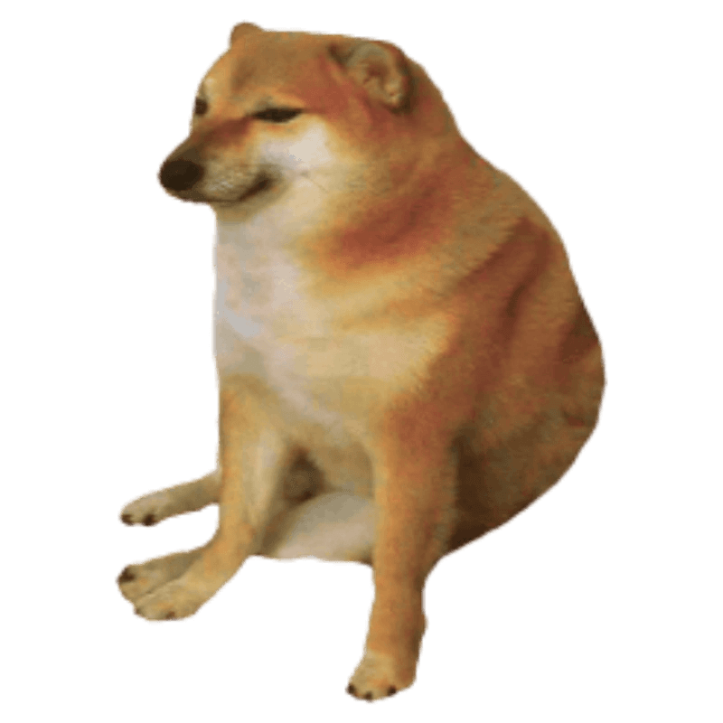 CHEEMS token image