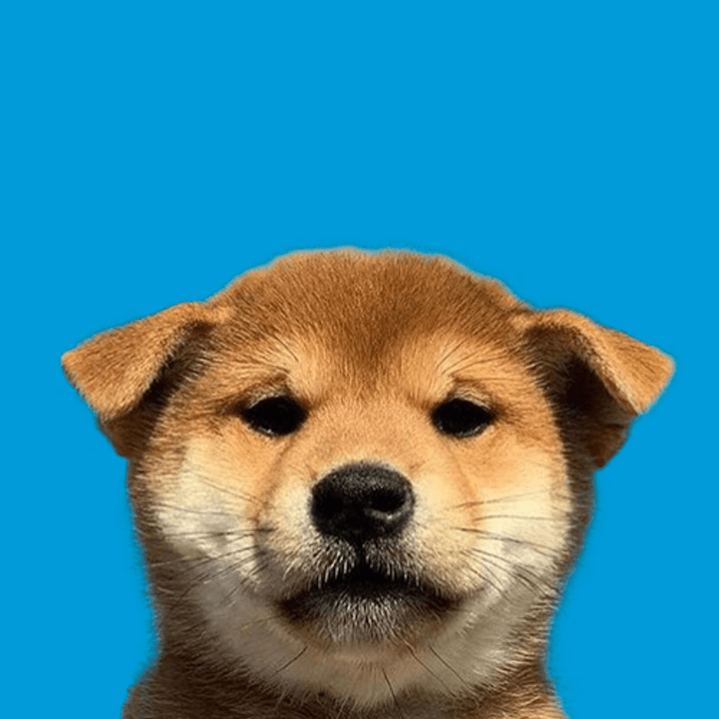 profile picture dog token image
