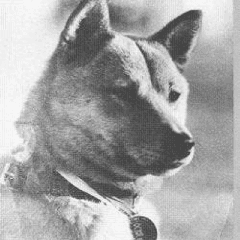 Naka Go token image