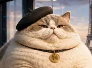 Le gros chaton token image