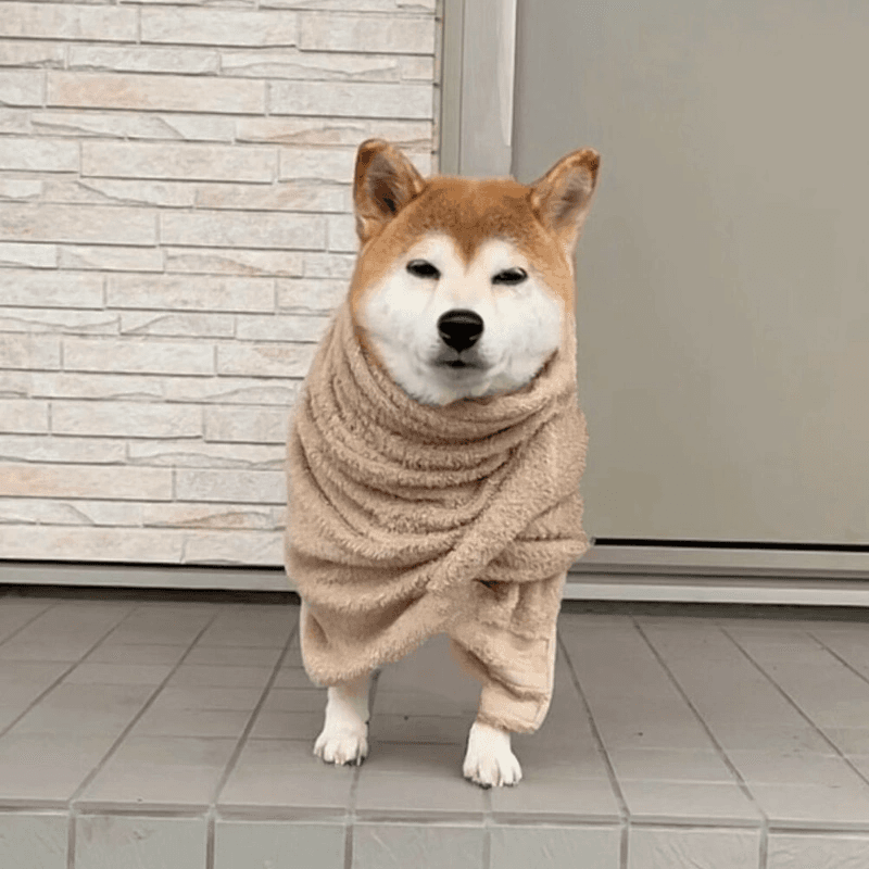 Wrapped Bonk
