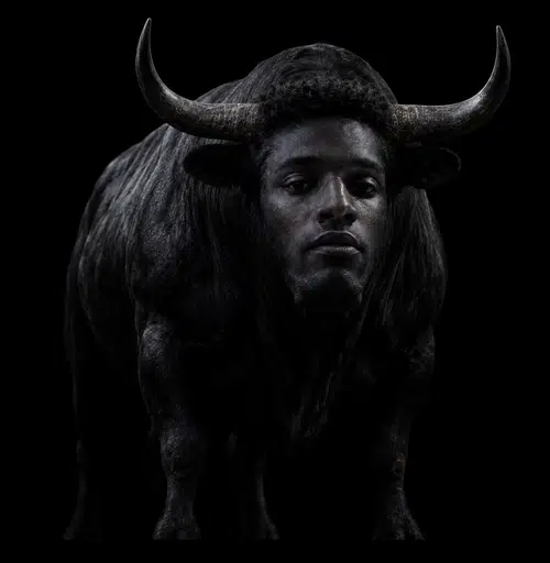 The Black Bull token image