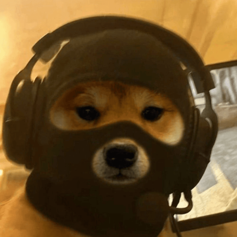 dogwifmask token image