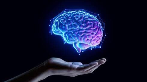 $DegenBrain token image