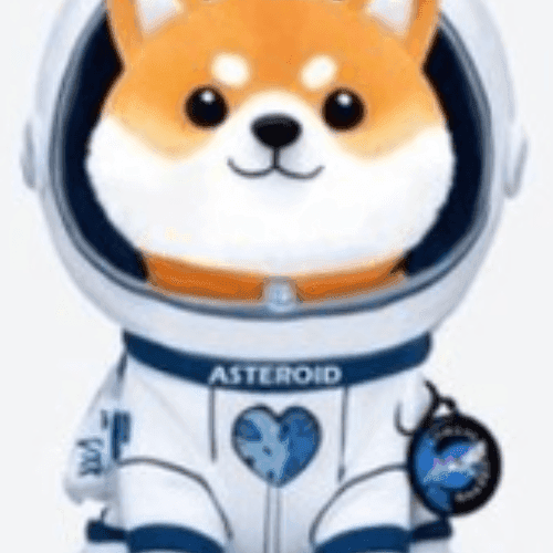 TheSpaceShibaInu token image