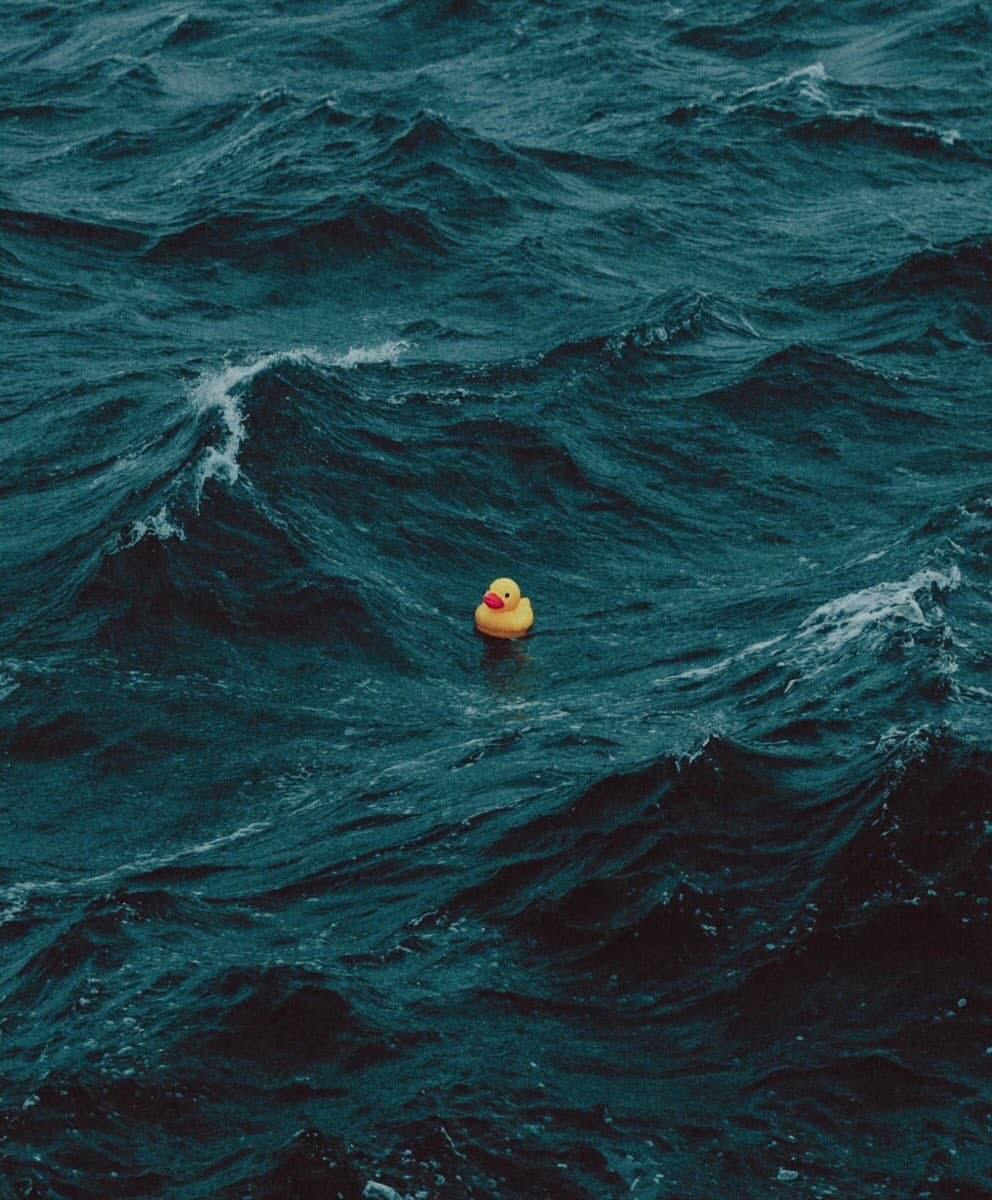 RubberDuck token image