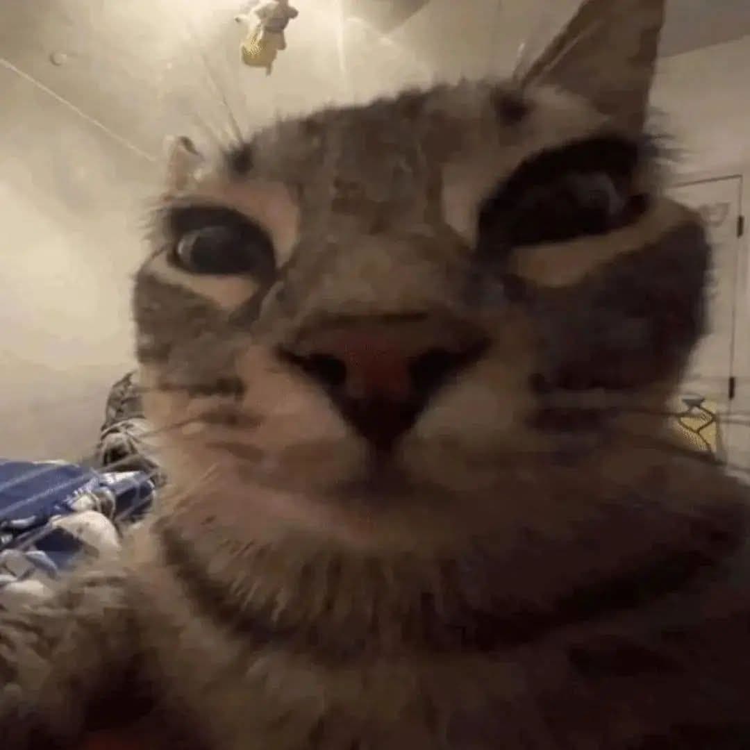 i watch you token image