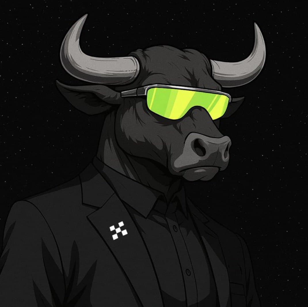 OKXbulls token image