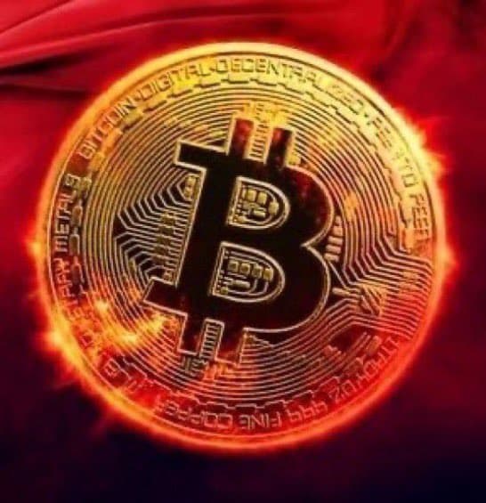 COINBTC token image