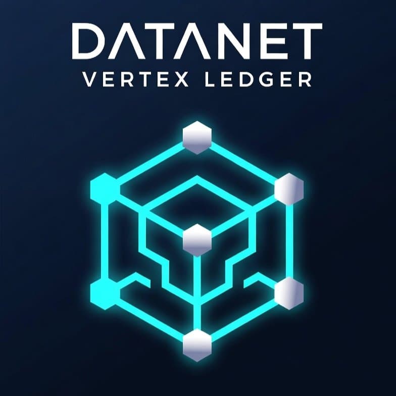 Datanet Vertex Ledger token image