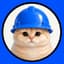 Baby Basecat