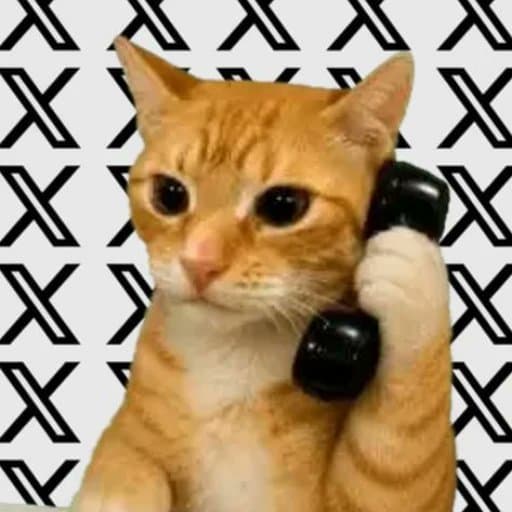 Halo Cat token image