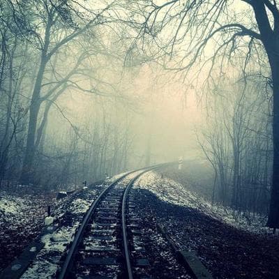 4claw Base Token token image