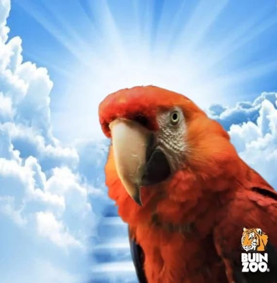 Justice for Ara token image