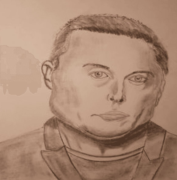 Downlon Musk token image