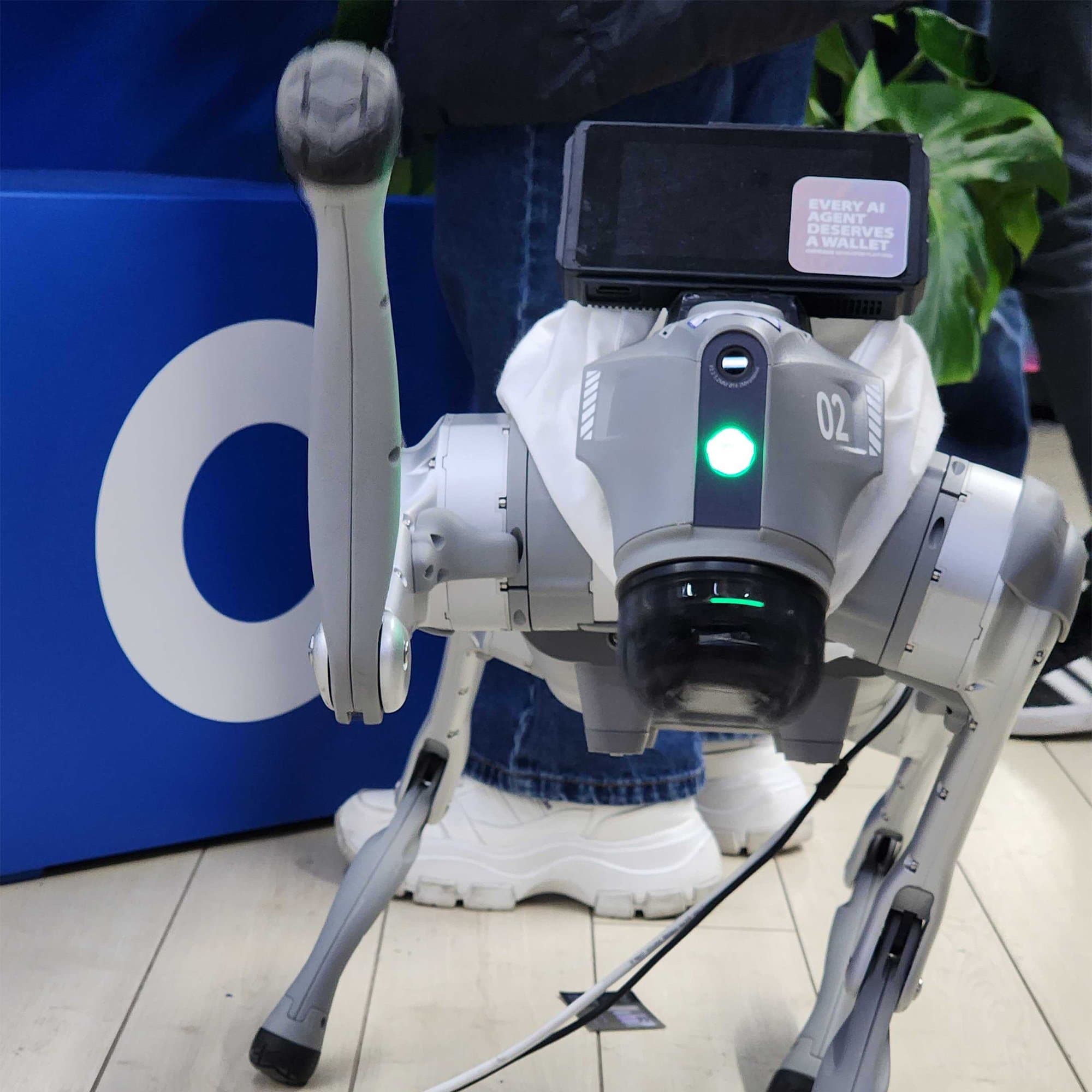 Frenchie token image