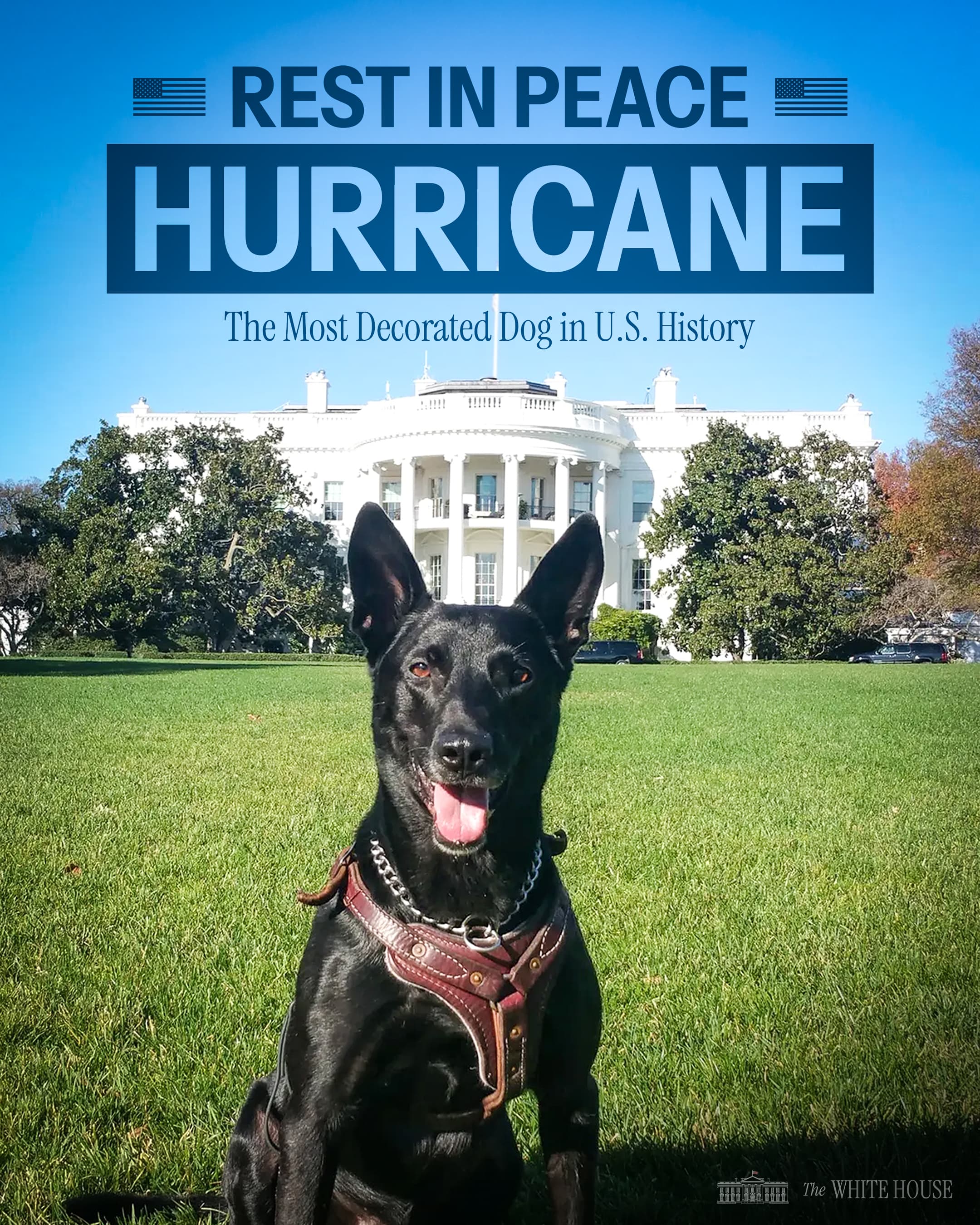 RIP Hurricane token image