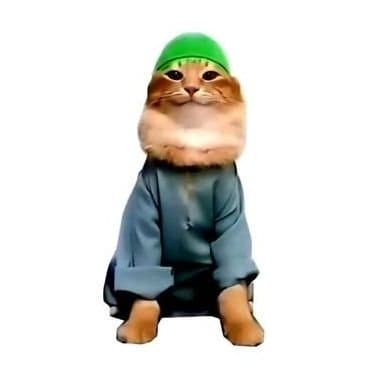 Ben Crypto token image