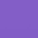 Purple DAO token image