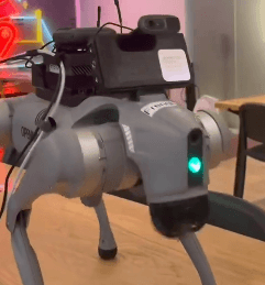 Frenchie token image