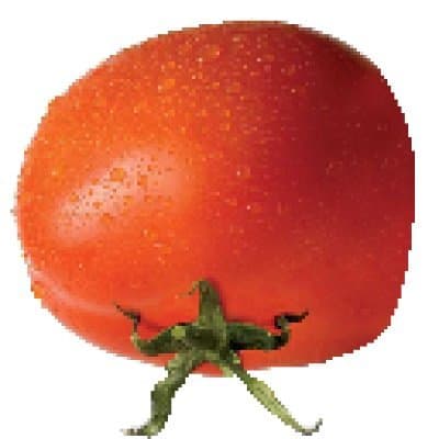 Tinysoulgame token image
